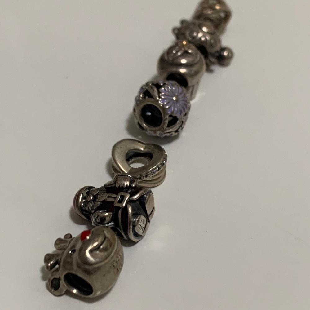 Pandora Charms